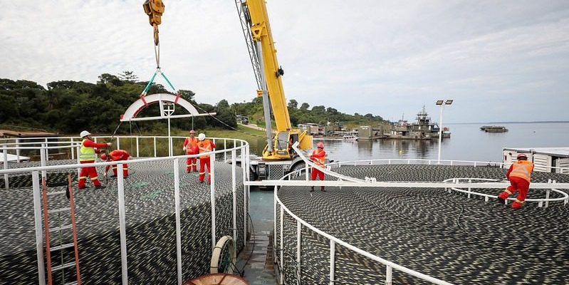 Governo do Amazonas, por meio da Universidade do Estado do Amazonas (UEA), está auxiliando na implementação de cabos de fibra ótica, que levarão internet para 12 municípios do estado. Obra do Governo Federal conta com o auxílio da plataforma Selva e do boletim sazonal hidroclimático da universidade para a instalação de mais de mil quilômetros de cabos ao longo dos rios da região, firmando o compromisso do Estado em promover uma educação capacitada para transformar a Amazônia.